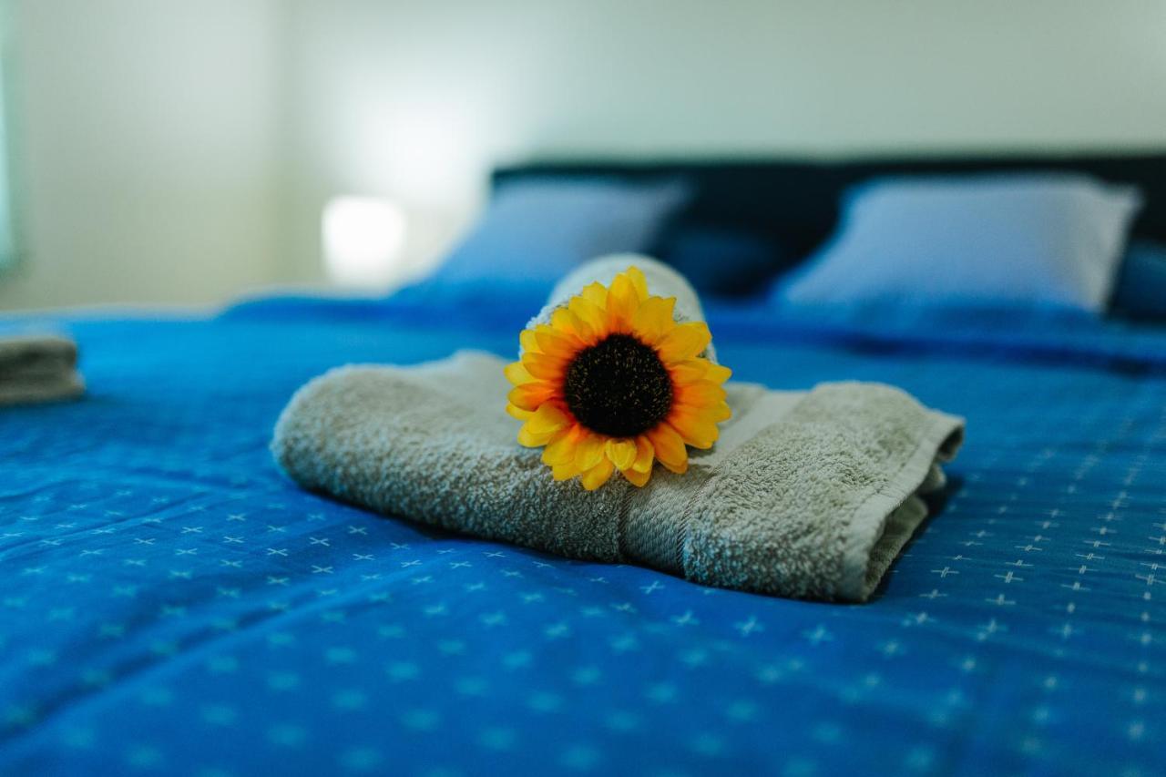Sunflower Sombor Esterno foto